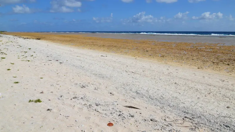 Wide sandy beach with gentle waves